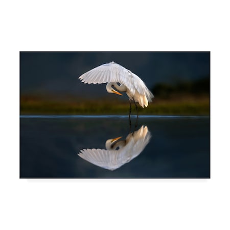 Trademark Fine Art Xavier Ortega 'Egret At Dusk' Canvas Art, 16x24 1X09953-C1624GG